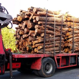 GRUME CAMION DE 50M3 EN HÊTRE