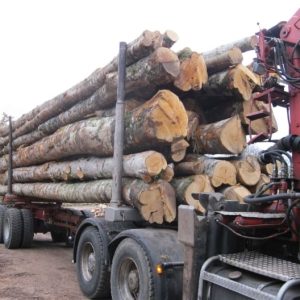 HÊTRE EN GRUME, CAMION DE 25 STÈRES