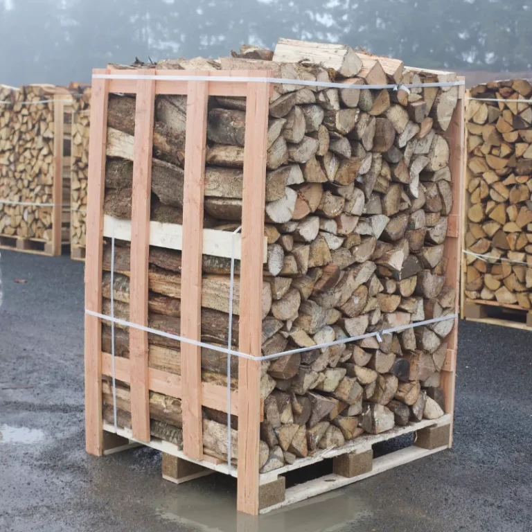 Buches-de-bois-sec-rangees.-1-1-768×768