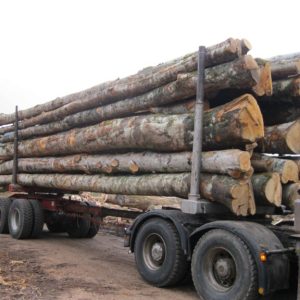 Camion de 30m3 Hêtre, Chêne, Charme en grume