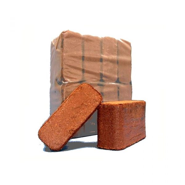 eco8n1_1-600x600-1-1