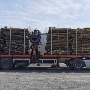 Camion de 50m3 Hêtre en grume