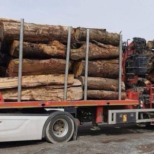 CHÂTAIGNIER EN GRUME, CAMION DE 50M3